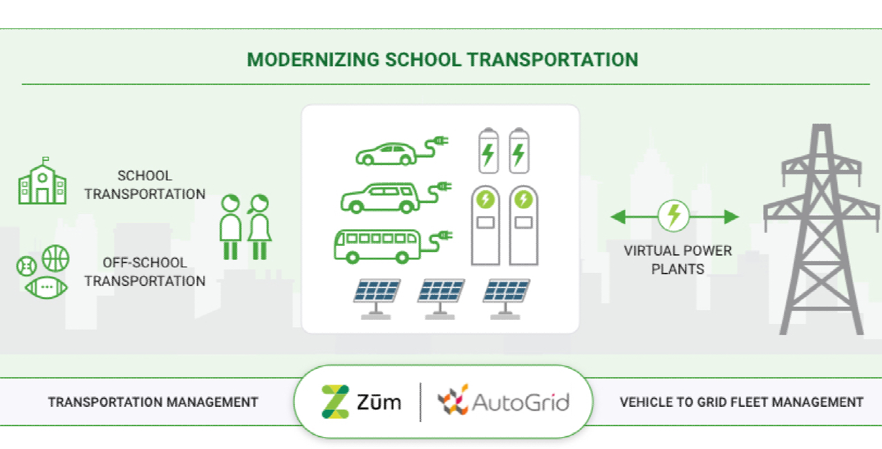 Modernizing School Transportation with Zum